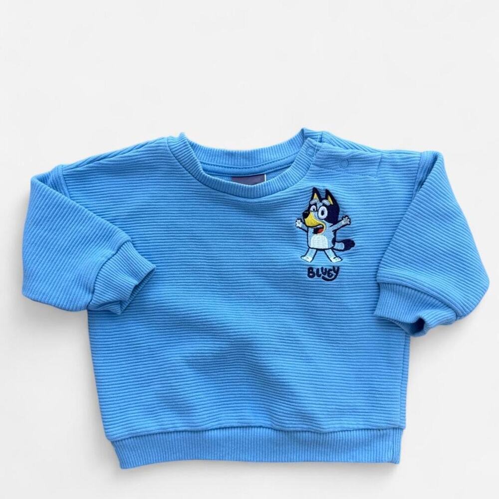 Bluey Shirt